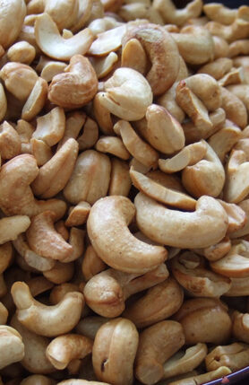 Cashew tribal organic farm