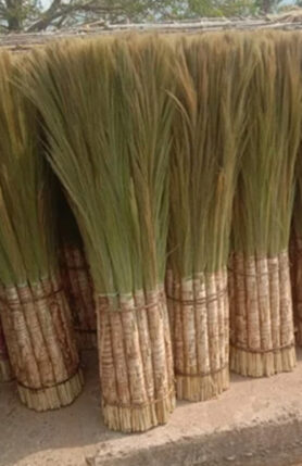 Seethampeta grass broom tribal organic farm